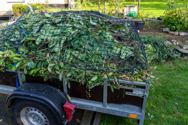 Best Hoarding Cleanup  in Lamoni, IA